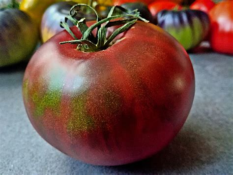 Black magic tomato